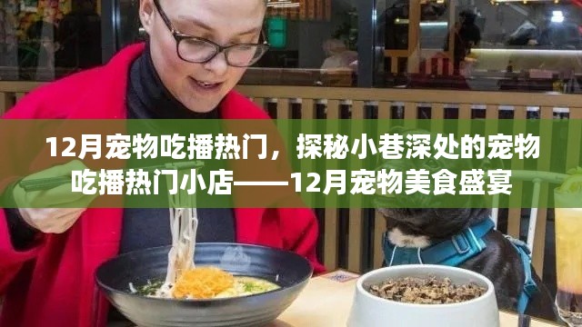 探秘小巷深处的宠物美食盛宴，揭秘十二月宠物吃播热门好去处