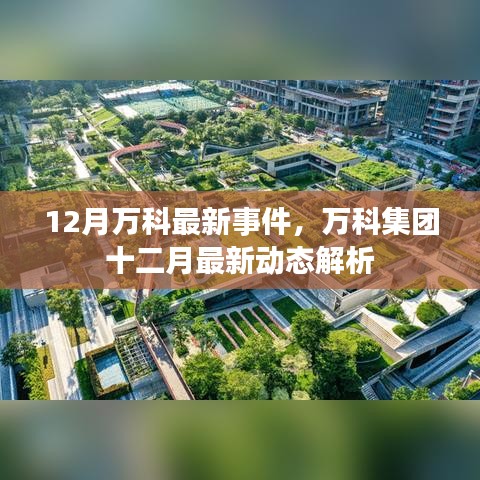 万科集团十二月最新动态深度解析，最新事件一览