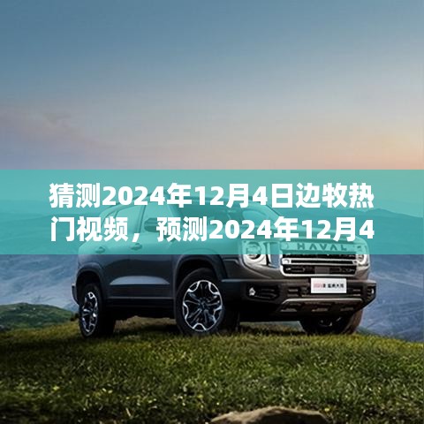 预测分析，2024年12月4日边牧热门视频趋势展望