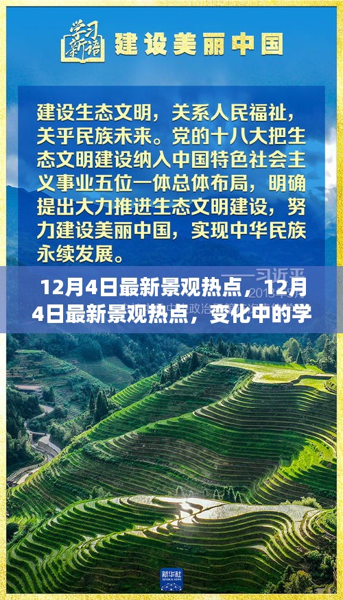 12月4日最新景观热点，变化中的学习，自信与成就感的源泉