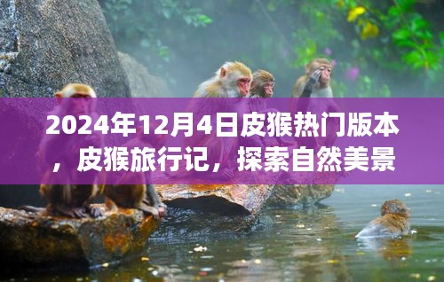 皮猴旅行记，探索自然美景，寻找内心宁静之旅（2024年热门版本）