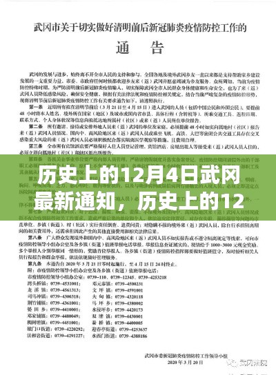 水浄鹅飞 第3页