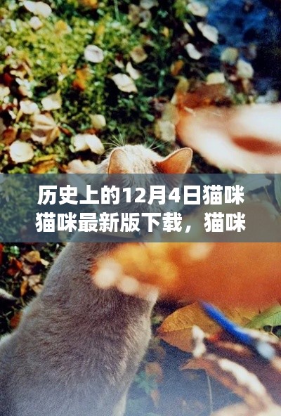 猫咪猫咪最新版下载，自然美景的心灵之旅纪念版