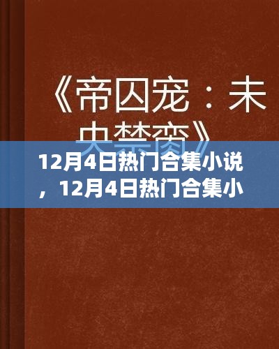 12月4日热门合集小说，12月4日热门合集小说创作全程指南，从入门到精通