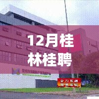 12月桂林桂聘人才网最新招聘信息，职场机遇与挑战一览