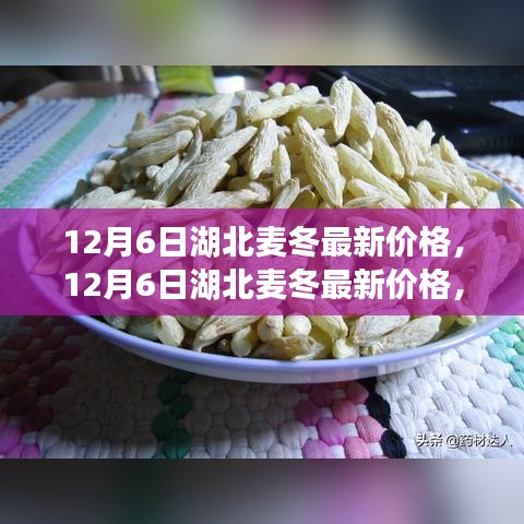 湖北麦冬最新价格动态，市场走势分析与预测（12月6日更新）
