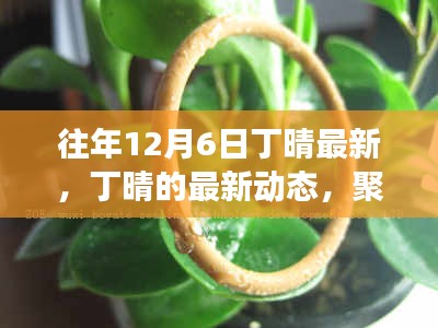聚焦丁晴，往年12月6日的最新动态与重要进展