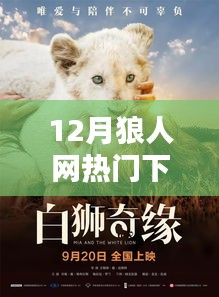 12月狼人网热门下载，狼人网下的温馨奇缘，十二月下载里的陪伴时光
