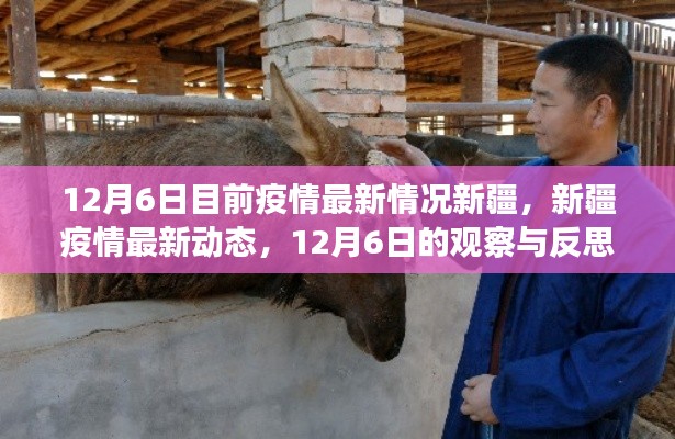 新疆疫情最新动态观察与反思，12月6日的疫情最新情况及反思