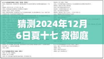 夏十七与寂御庭的未来命运，2024年12月6日热门章节猜想与未知探索