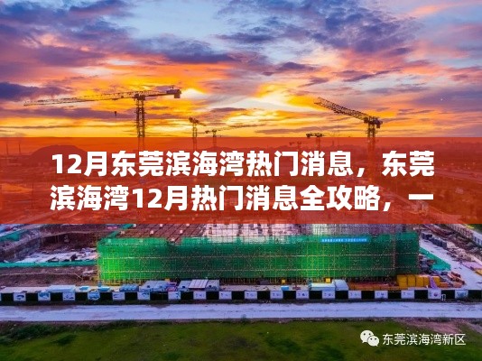 东莞滨海湾12月热门消息全攻略，任务完成与技能学习步步为营