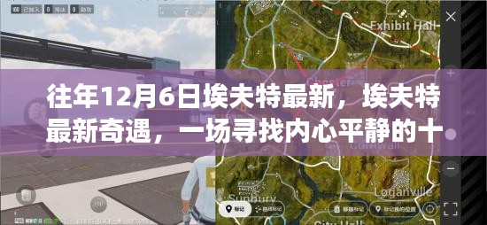 埃夫特最新奇遇，十二月自然之旅寻找内心平静之旅
