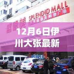 伊川大张招聘日，探寻内心的宁静与平和之旅，共舞大自然的奇妙旅程