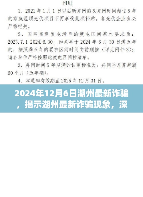 湖州最新诈骗现象揭秘，深度剖析与观点阐述（2024年12月6日）