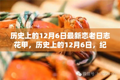 历史上的12月6日，花甲恋老日志的诞生与影响