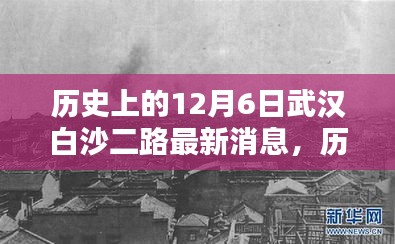 毛手毛脚 第3页