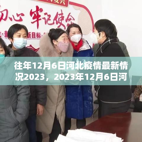 2023年12月6日河北疫情最新情况详解与防疫任务完成步骤指南