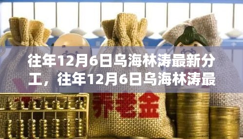 往年12月6日乌海林涛分工调整详解，从入门到精通的步骤指南