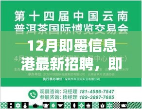 即墨信息港招聘热潮揭秘，深度解析与观点碰撞
