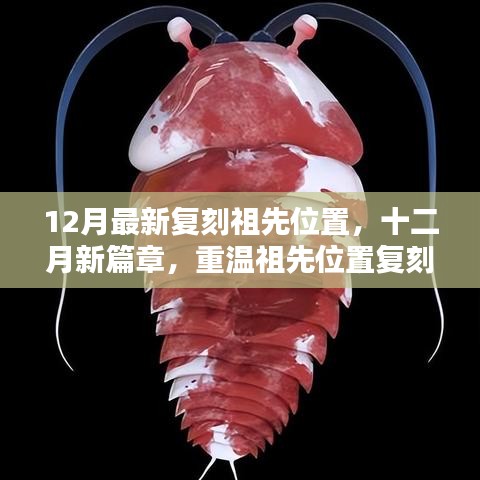 12月最新复刻祖先位置，十二月新篇章，重温祖先位置复刻之路，探寻时代背景下的历史印记