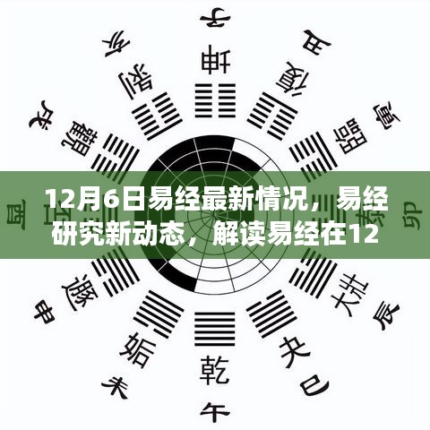 易经最新动态解析，12月6日易经研究新进展详解要点