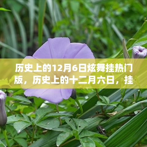 历史上的十二月六日，炫舞挂热门版的心灵与自然美景之旅