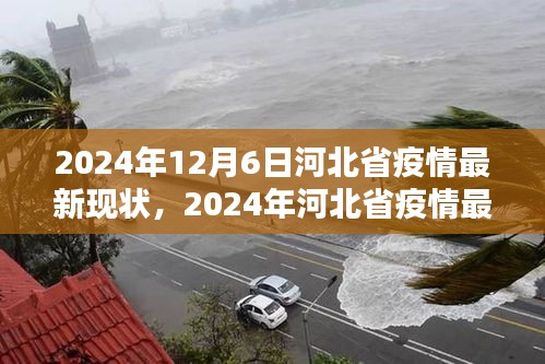 2024年河北省疫情最新现状全面解析与小红书体验分享