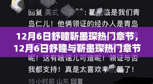 12月6日舒瞳与靳墨琛热门章节，深度探究人物性格与剧情走向之争