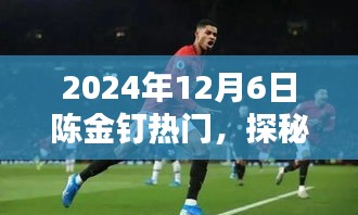 2024年12月6日陈金钉热门，探秘陈金钉热门，小巷深处的独特风味