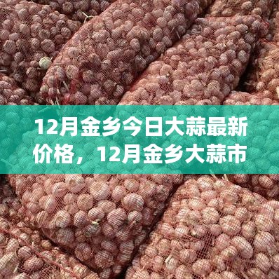 12月金乡今日大蒜最新价格，12月金乡大蒜市场最新行情分析
