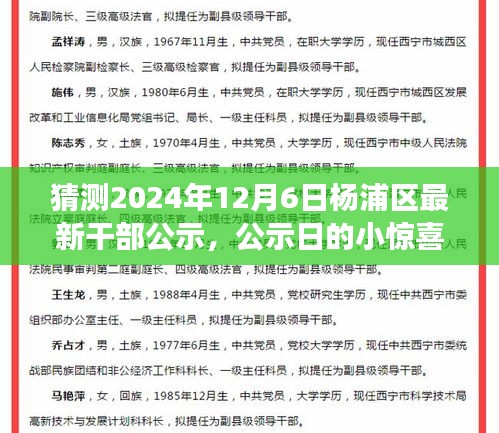 杨浦区政府干部公示日惊喜揭晓，温暖故事背后的干部新面孔