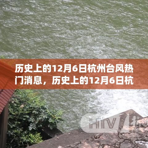 历史上的12月6日杭州台风事件回顾与热门消息盘点