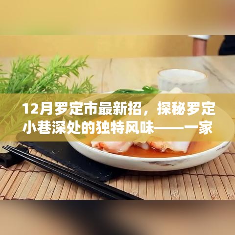 12月罗定市最新招，探秘罗定小巷深处的独特风味——一家隐藏式美食宝藏的揭秘之旅
