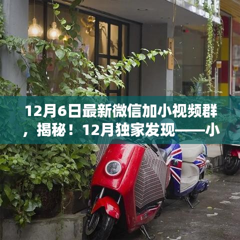 揭秘独家发现，小巷深处的小视频群特色小店（最新微信加群动态）