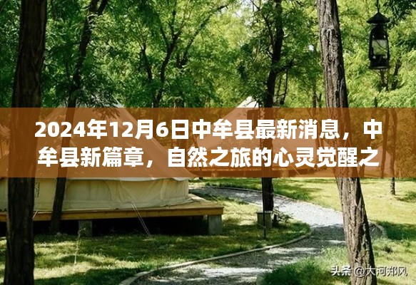 中牟县新篇章，自然之旅的心灵觉醒之旅（最新消息2024年12月6日）
