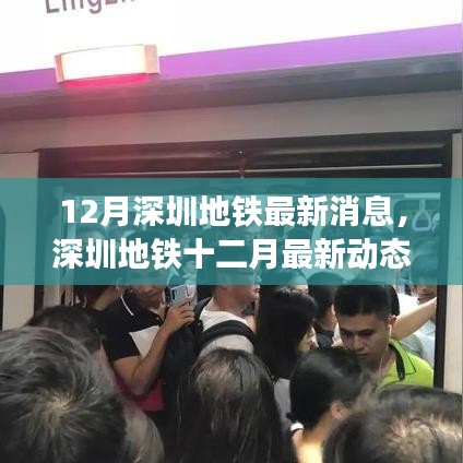 深圳地铁十二月最新动态深度解析，特性、体验、竞争对比及用户群体全面探讨