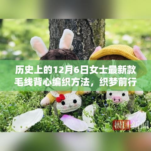 历史上的12月6日女士最新款毛线背心编织方法，织梦前行，12月6日女士毛线背心的编织艺术，变化中的自信与成就
