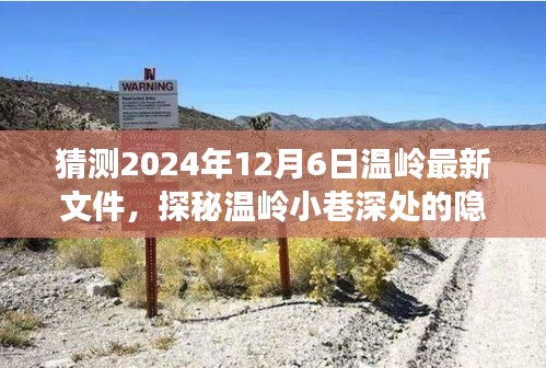 探秘温岭小巷深处的未来之味特色小店，最新隐藏瑰宝预测（2024年12月6日）