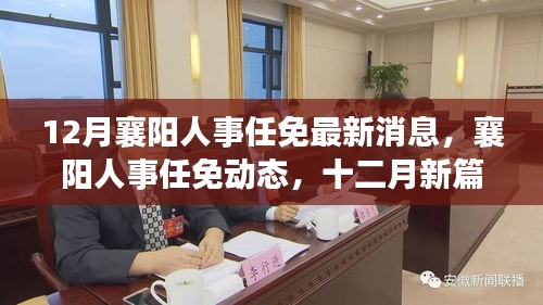 十二月襄阳人事任免最新动态，格局重塑与人事调整