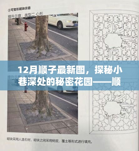探秘小巷深处的秘密花园，顺子小店——最新风尚坐标揭秘
