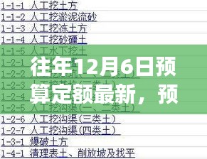 温馨奇妙之旅，预算定额日最新解读与体验分享