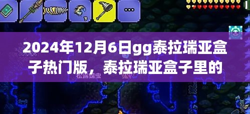 泰拉瑞亚盒子温馨日常与奇遇，2024年12月6日的探索之旅