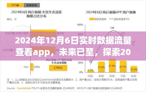 2024年12月6日实时数据流量查看app，未来已至，探索2024年实时数据流量查看应用的魅力