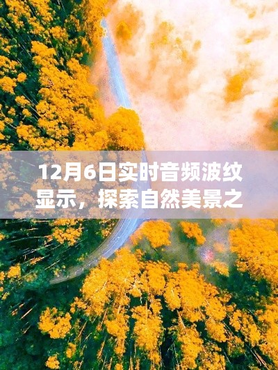 12月6日实时音频波纹显示，探索自然美景之旅，一场与音频波纹的浪漫约会
