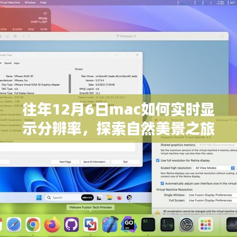 Mac实时分辨率调整，探索自然美景，启程寻找内心平和的分辨率调整之旅