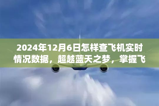 掌握飞行数据，如何查询2024年12月6日飞机实时情况，自信翱翔超越蓝天之梦