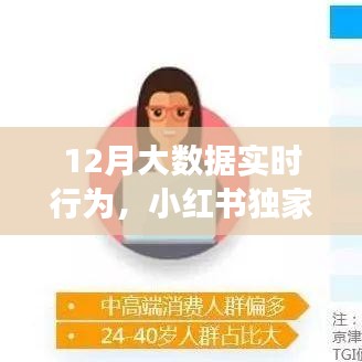 小红书独家揭秘，十二月大数据背后的惊人实时行为洞察与实时行为分析