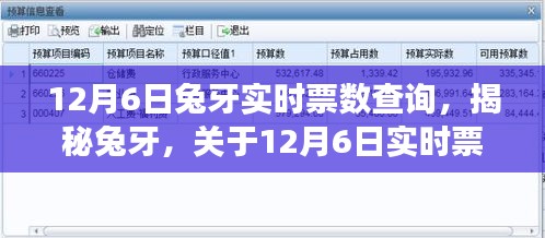揭秘兔牙实时票数查询，全方位解读12月6日数据动态