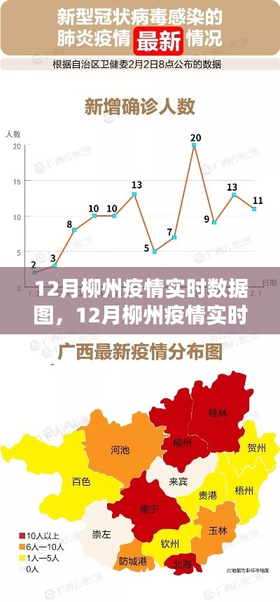 洞悉柳州疫情防控态势，12月柳州疫情实时数据图解析