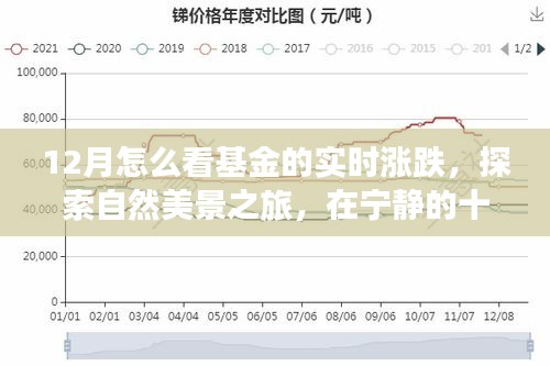 探索宁静十二月，基金实时涨跌与心灵之旅的双重体验
